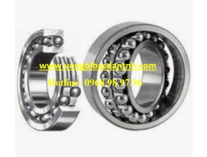 VÒNG BI 1224 E 2RS1 TN9